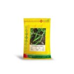 بذر خیار GS27009