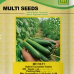 بذر خیار MT 110