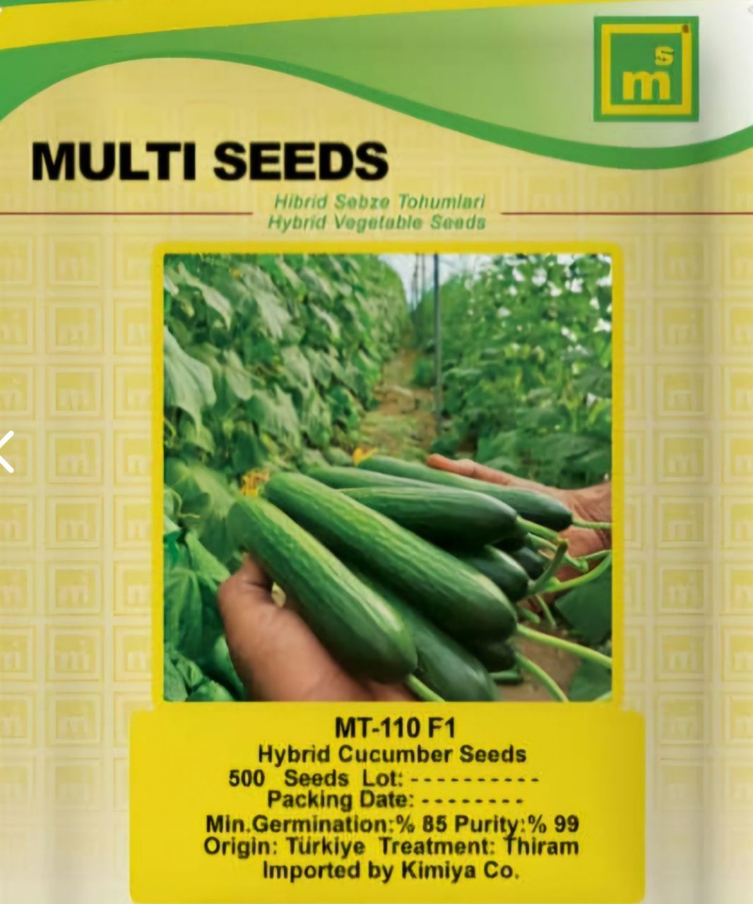 بذر خیار MT 110