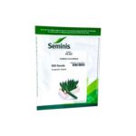 بذر خیار PS 547 سمینیس آمریکا