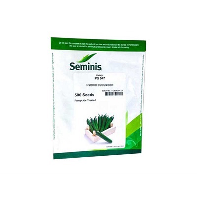 بذر خیار PS 547 سمینیس آمریکا