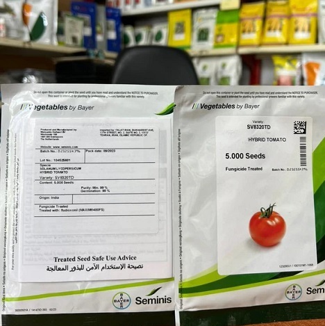 بذر گوجه فرنگی 8320 سمینیس