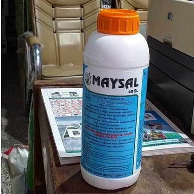 هورمون رشد MAYSAL