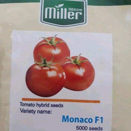 بذر گوجه فرنگی موناکو