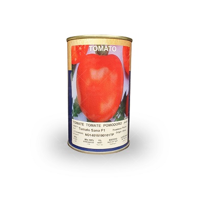 بذر گوجه فرنگی ثنا