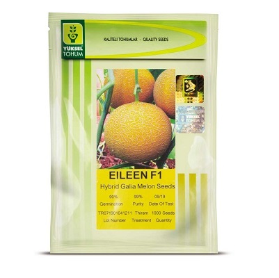 بذر خربزه آیلین یوکسل ترکیه