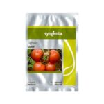 بذر گوجه فرنگی سینجنتا ازمیر