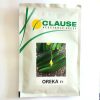 بذر خیار اورکا ORKA F1 کلوز فرانسه