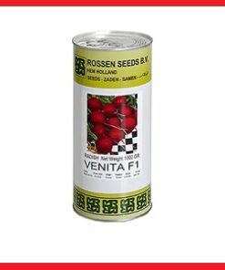 بذر تربچه VENITA F1 روزن سیدز