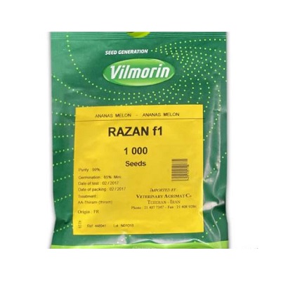 بذر ملون آناناسی هیبرید رازان ویلمورین