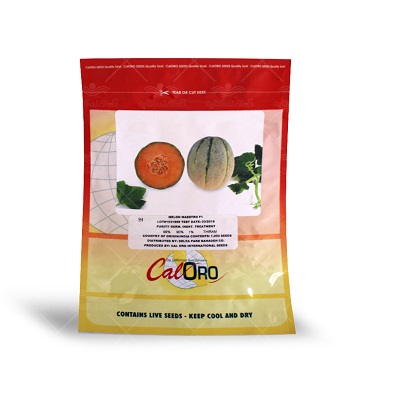 بذر خربزه Maestro F1