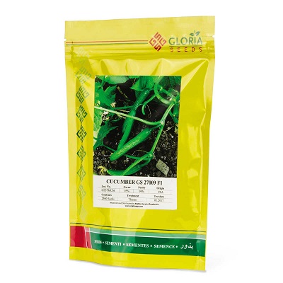 بذر خیار GS 27009 گلوریا