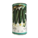 بذر خیار داووس