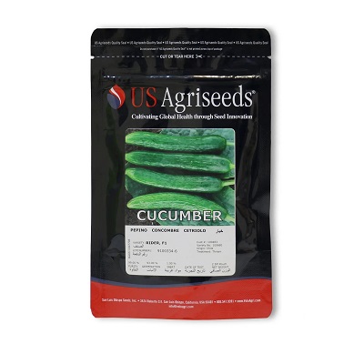 بذر خیار Rider F1