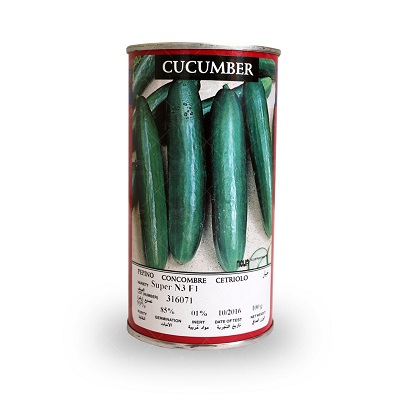 بذر خیار Super N3