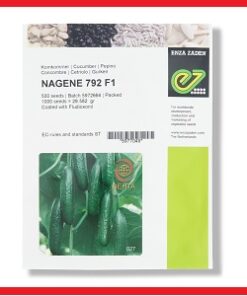 بذر خیار NAGENE 792 F1