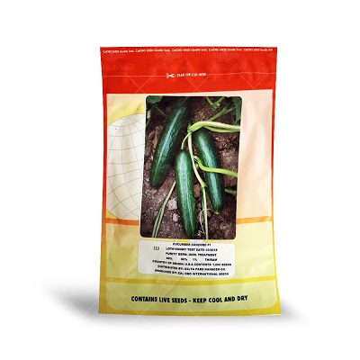 بذر خیار Concord F1