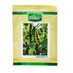 بذر خیار گالاردو Miller