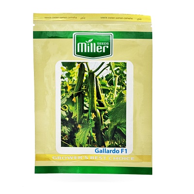 بذر خیار گالاردو Miller