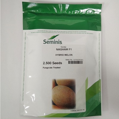 بذر خربزه NAGHAM F1 سمینیس