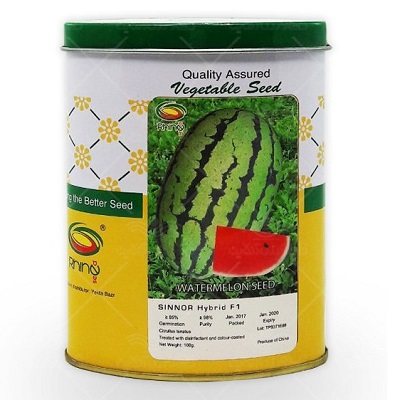 بذر هندوانه SINNOR F1 