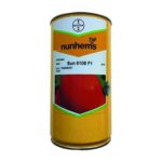 بذر گوجه Sun 6108