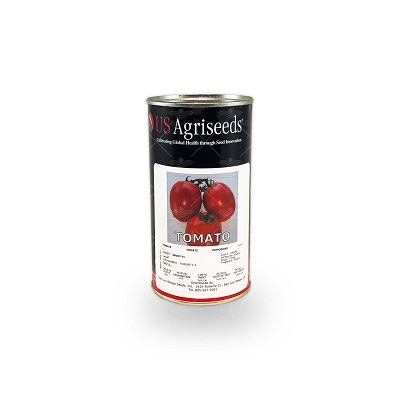 بذر گوجه فرنگی اینوی آمریکا