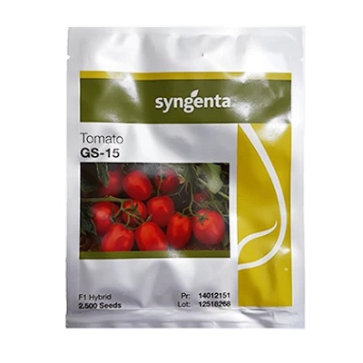 بذر گوجه فرنگی GS 15 سینجنتا