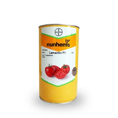 بذر گوجه لمنتین نانهمز هلند