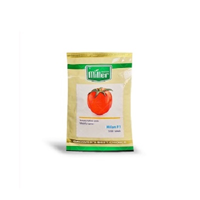 بذر گوجه فرنگی milan f1