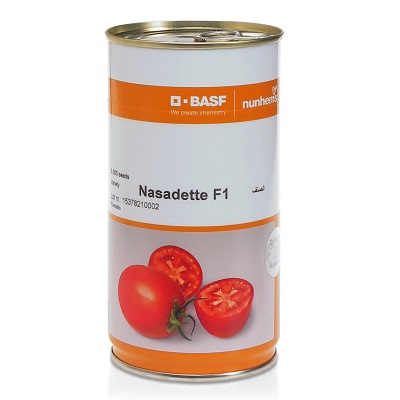 بذر گوجه Nasadette سانسید