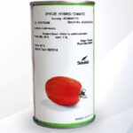 بذر گوجه فرنگی کیشمات