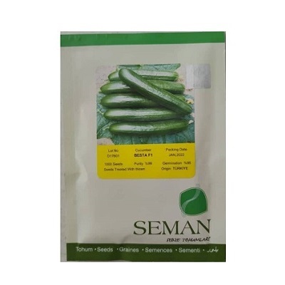 Cucumber seed Besta F۱