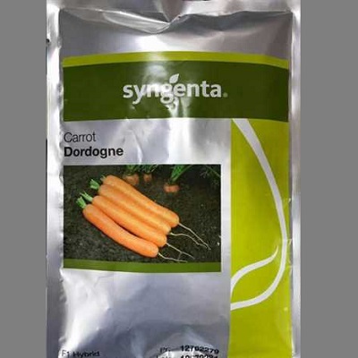 بذر هویج Dordogne