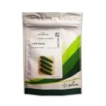 فروش بذر خیار Emparator