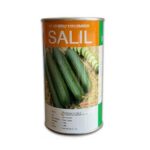 بذر خیار SALIL