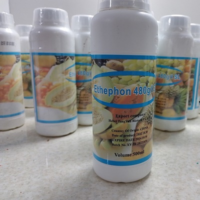 سم تشریع رشد اتفون