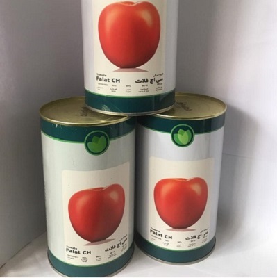 بذر گوجه Falat CH