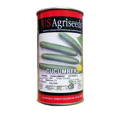 بذر خیار Maximus