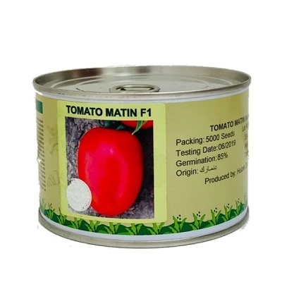 بذر گوجه فرنگی MATIN اف 1