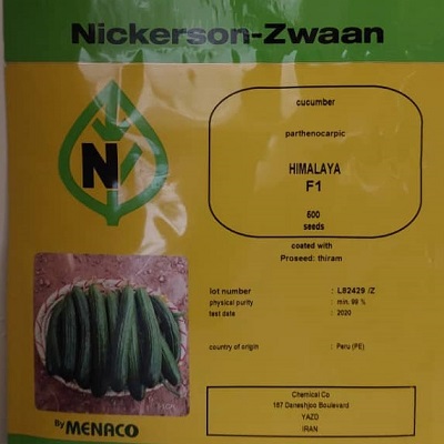 بذر خیار نیکرسون هیمالیا