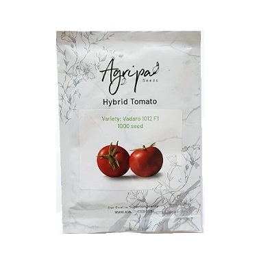 بذر گوجه فرنگی 1012