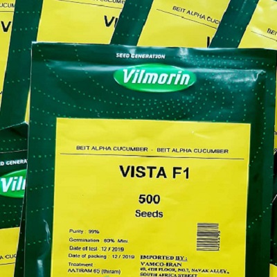 بذر خیار ویستا ویلمورین