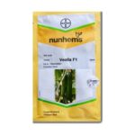 بذر خیار گلخانه ای ویولا نانهمز