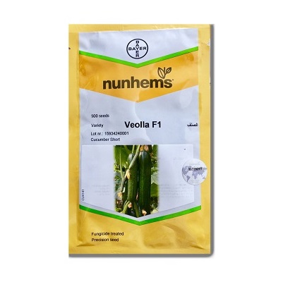 بذر خیار گلخانه ای ویولا نانهمز