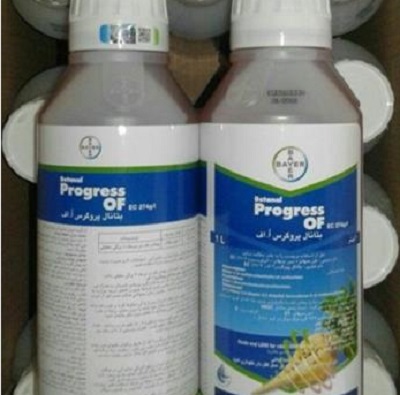 سم پروگرس بایر آلمان