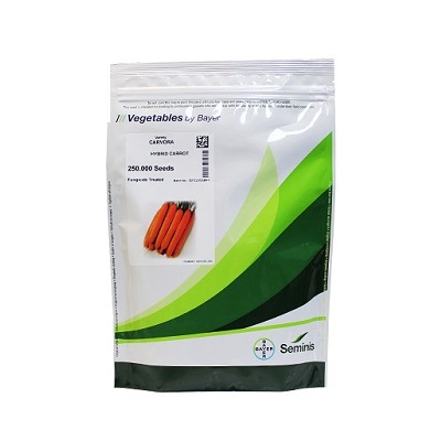 بذر هویج CARVORA