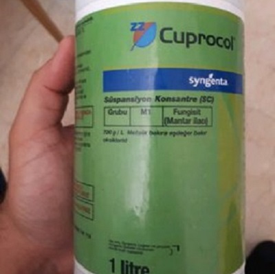 SYNGENTA CUPROCOL
