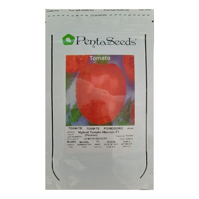 بذر گوجه مارکنی